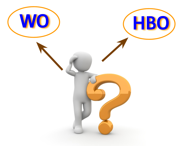 universidades holandesas